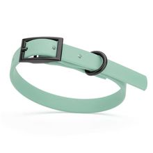 Dog Pet Waterproof Collar - W1/2" x L9"-12" - Sage Green