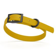 Dog Pet Waterproof Collar - W1/2" x L9"-12" - Treasure Gold