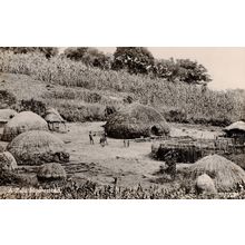 A Zulu Homestead South African Tribe Houses RPC Old Postcard