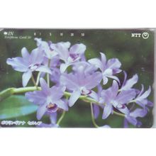 Orchid Japan NTT Phone Card