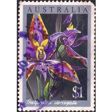AUSTRALIA, FLOWER, Queen of Sheba Orchid, grey 1986, $1