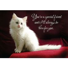 You're A Special Friend - Friendship Greeting Card - 00781