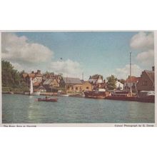 River Bure At Horning Norfolk Man Rowing Boat 1960s Postcard