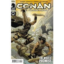 Conan the Cimmerian (Vol 1) # 005 NM MODERN AGE COMICS