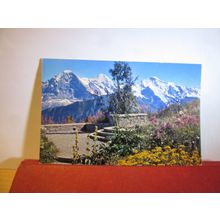 MONCH & JUNGFRAU, INTERLAKEN SWITZERLAND used postcard 1971 pm =