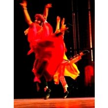 Raising Dust - A Cultural History of Dance in Palestine