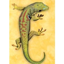 Gecko - Tree Free Greeting Card - 70018