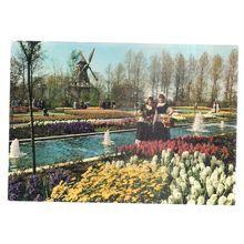HOLLAND IN FLOWER... unused vintage postcard #