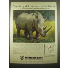 1966 Midland Bank Ad - White Rhinoceros - Vanishing Wild Animals of the World