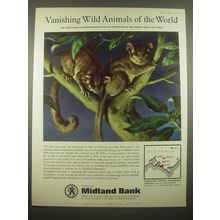 1966 Midland Bank Ad - Leadbeater's Possum - Vanishing Wild Animals of the World