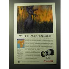 1992 Canon EOS 1 Camera Advertisement - Shoebill - Wildlife as Canon sees it