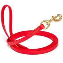 Dog Pet Leash Cherry Red w/ Brass Hardware W 5/8" - L20'