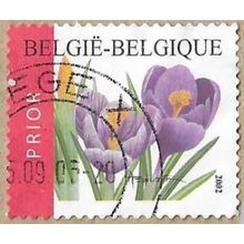 2002 - Crocus vernus - 16743