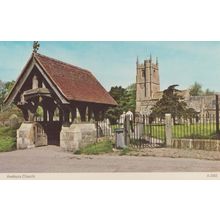 Pewsey Church Interior Wiltshire & Pewsey 1905 Frank Postcard