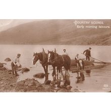 Early Morning Labours Horse Helping Launch Boat Real Photo Postcard