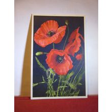 CORN POPPY flower unused vintage postcard =