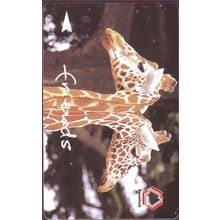 Friends~2 Giraffe S'pore Transitlink Train/Bus Card
