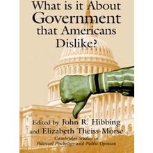What Is It about Government That Americans Dislike?