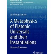 A Metaphysics of Platonic Universals and their Instantiations