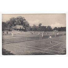 The Tennis Courts Putney Common Postcard London