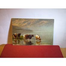 LLYN GADAR, BEDDGELERT, GWYNEDD unused antique postcard by Raphael Tuck. =