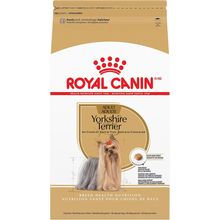 Royal Canin Yorkshire Terrier Adult Dry Dog Food, 10 Lb Bag