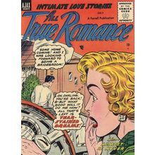 All True Romance Intimate Love Stories Car Spy Wife Comic Postcard