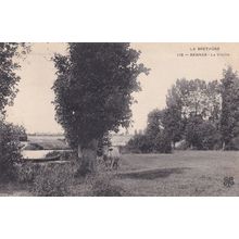 Rennes La Villaine Bretagne Cow Antique French Postcard
