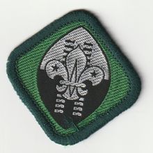 Scout Badge Swaziland - Hessian Back (BY136)