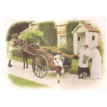 THE MILKMAID, Edwardian Country Life unused postcard horse and cart =