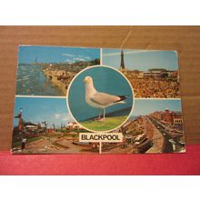 multiview, BLACKPOOL, LANCASHIRE.. used postcard Colourmaster..1974 pm seagull =