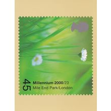 Buttercups at Mile End Park London Postcard