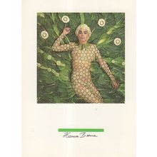 Lady In Lettuce Leaf Vegetable Dress Pop Star Lookalike Postcard