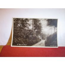 A LANE, CLENT, WORCESTERSHIRE used antique postcard by Mark & Moody 1921 pm =