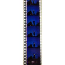 VAMPIRES. Pk MTP - A015o . 1 STRIP OF 5 - 35MM FILM CELLS. MTP