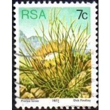 South Africa. 1977 7c Value. Protea Iroea . Fine Used