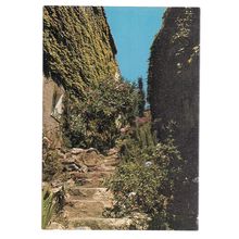 French Riviera, France unused postcard (a) =