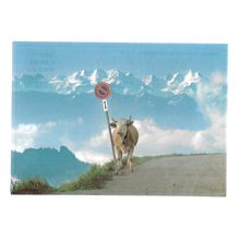 SWITZERLAND ..cow unused postcard vgc =