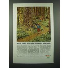 1966 Sinclair Oil Ad - Keep a Forest from Becoming a Neon Jungle
