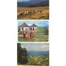 Magoebaskloof Transkei Women Drakensberg Horse Ride 3x African Postcard s