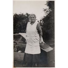 Old Lady By Hen Farming Poultry Cage Chickens Antique Postcard