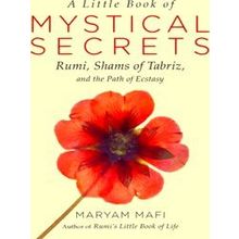 A Little Book Of Mystical Secrets
