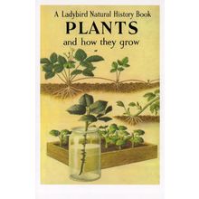 Plants & How They Grow Ladybird First Edition Book Postcard