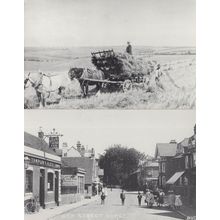 Harvesting Worthing Farmers Sussex Hurst High Street 2x Postcard s