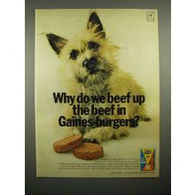 1966 Gaines-Burgers Dog Food Ad - Beef Up