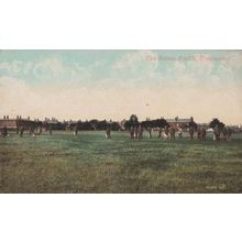 Abbey Fields Colchester Recreation View Park Essex Playing Sports Sport Postcard