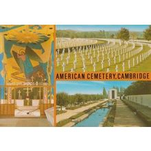 American Cemetary Cemetery Cambridge Postcard