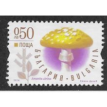 BUL 2014 50st 'FUNGI' FINE USED (EBID63-788)
