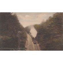 SW Express Surrey Hindhead To Pinewoods Antique Train Railway Postcard