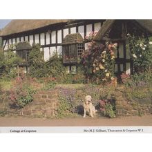 Labrador at Cropston Cottage Village Leicester Womens Institute Rare Postcard